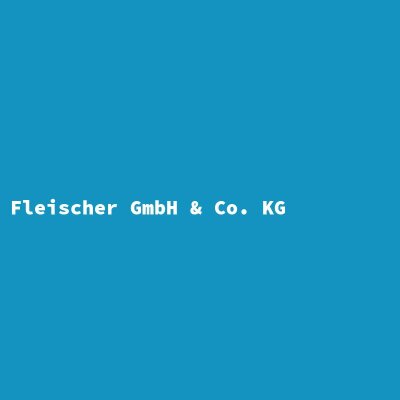 Hersteller: Fleischer GmbH &amp; Co. KG